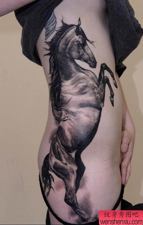 展示一幅侧腰上骏马纹身图案