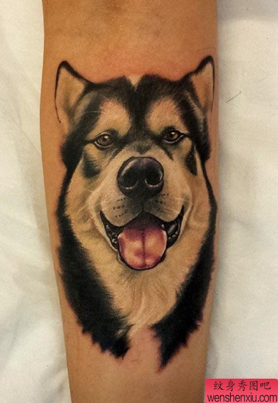 推荐一幅个性的哈士奇纹身作品