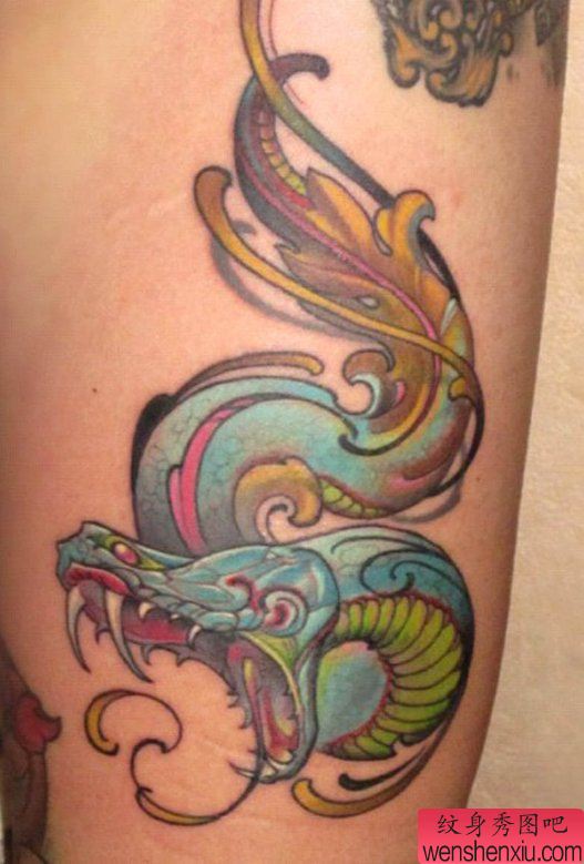 为大家推荐一幅school风格蛇纹身图案