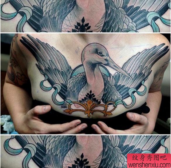 美女胸口上一幅个性流行的天鹅纹身图案
