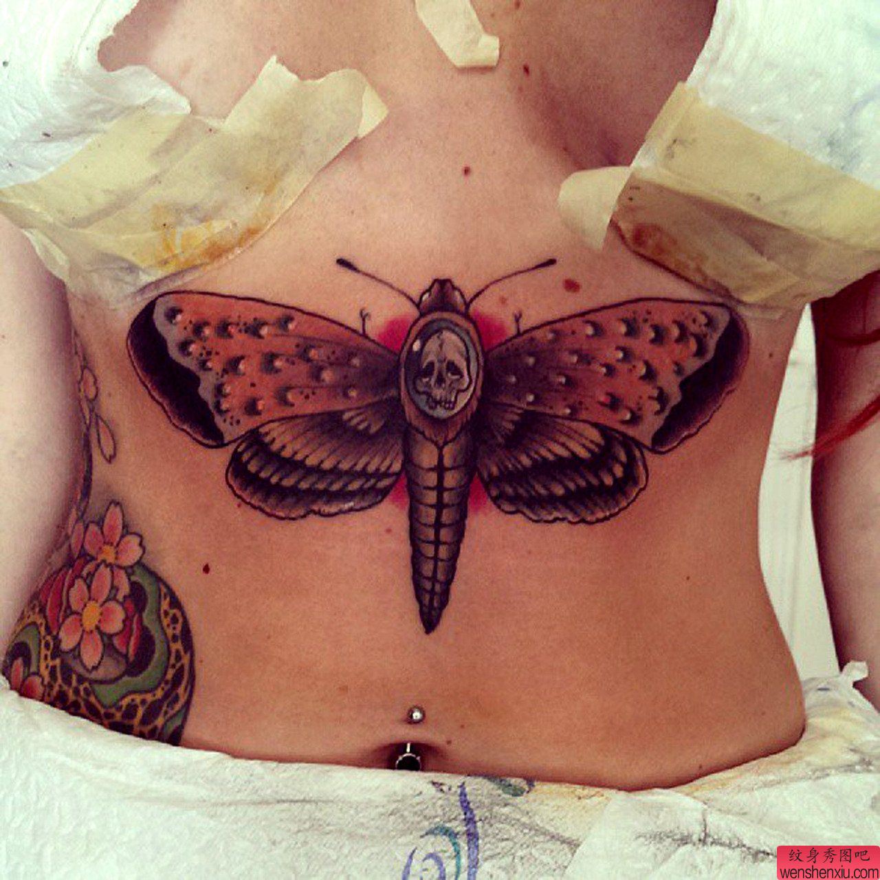 推荐胸部下面一幅流行蝴蝶纹身图案