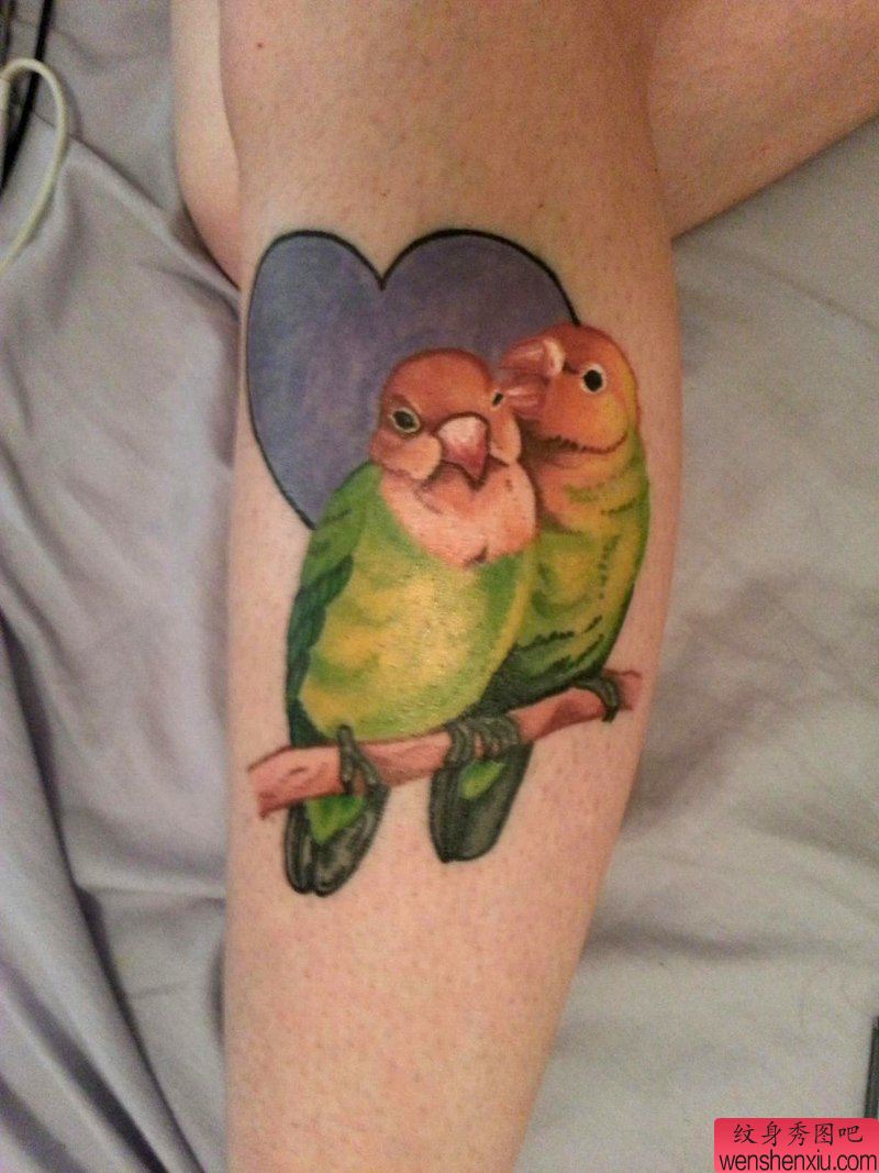 小腿上一幅个性鹦鹉纹身作品