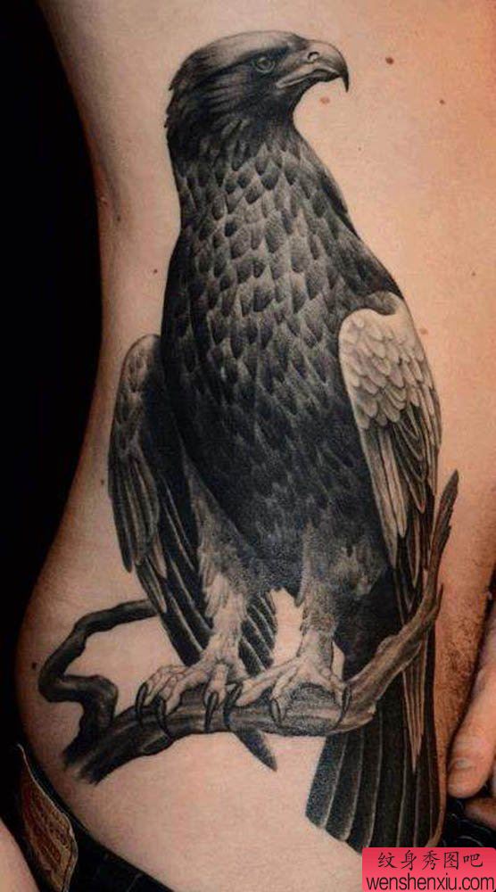 侧腰上的一幅老鹰纹身图案