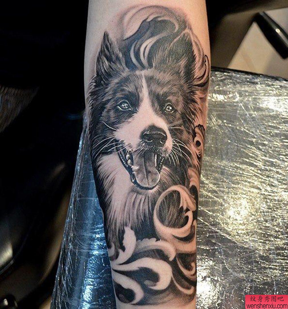 欣赏一幅个性的小狗纹身图案