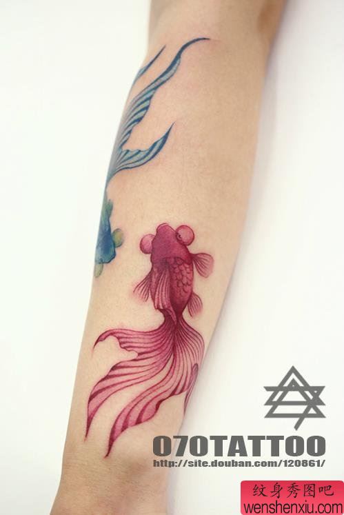 推荐一幅漂亮精致的金鱼纹身图案