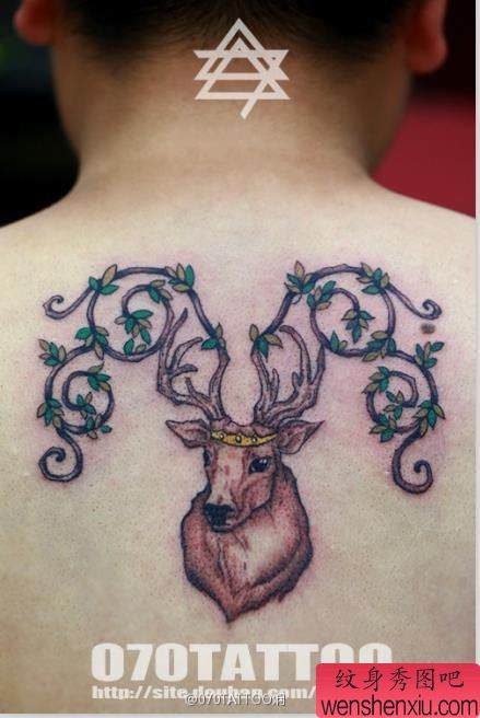 一幅个性的后背鹿纹身图案