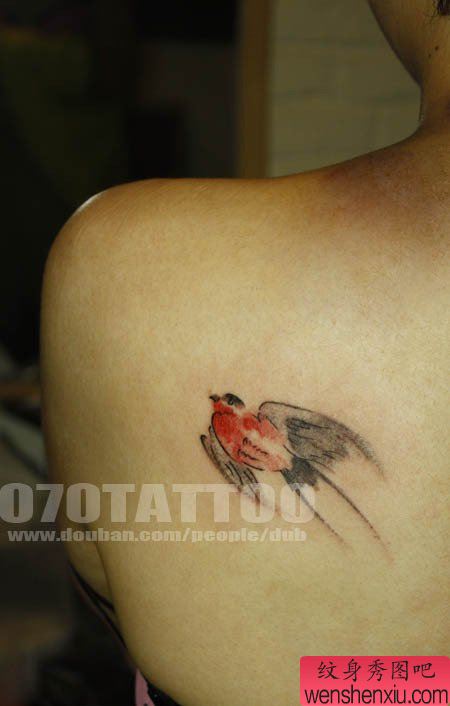 美女后背一幅流行的水母燕子纹身图案