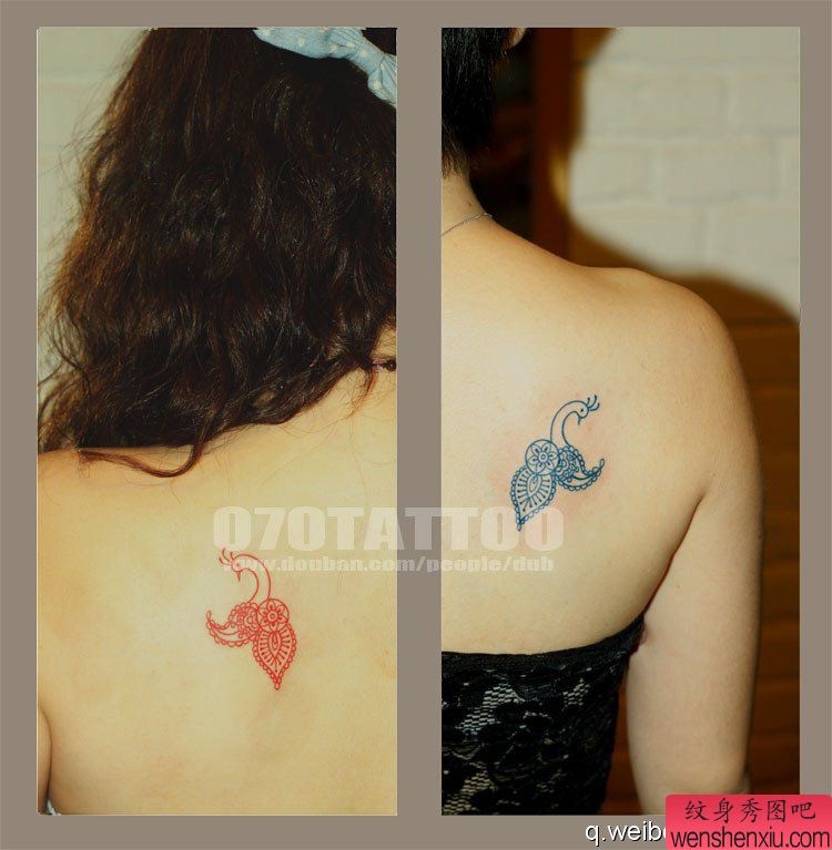 美女后背的一幅精致小孔雀纹身图案