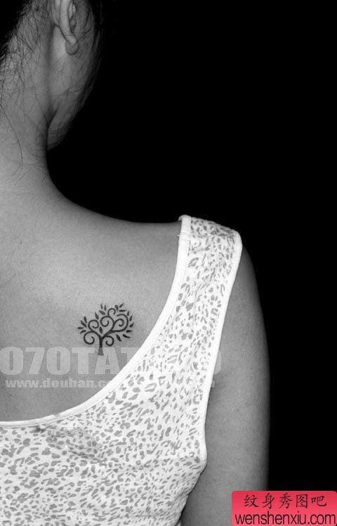 美女后肩一幅图腾树纹身图案