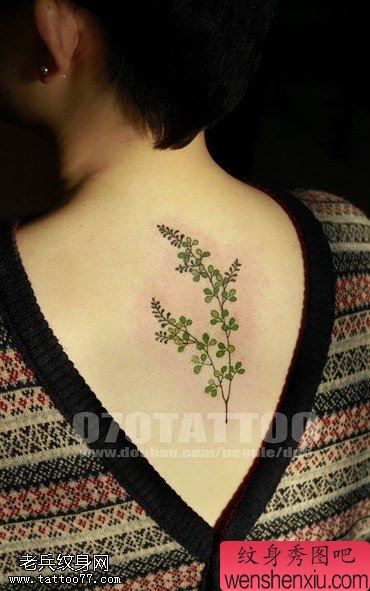 小清新背部花草文身作品