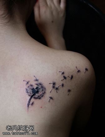 小清新背部经典公英文身作品