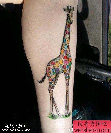 手臂彩色长颈鹿文身作品
