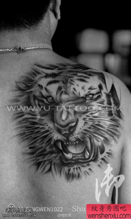 文身秀图吧推荐一幅背部老虎头文身作品