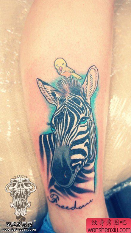 文身秀图吧推荐一幅腿部斑马文身作品