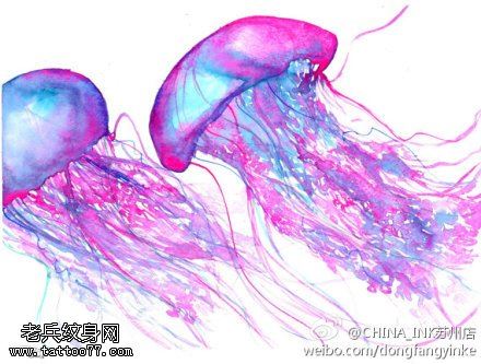 文身秀图吧推荐一幅彩色水母文身手稿作品