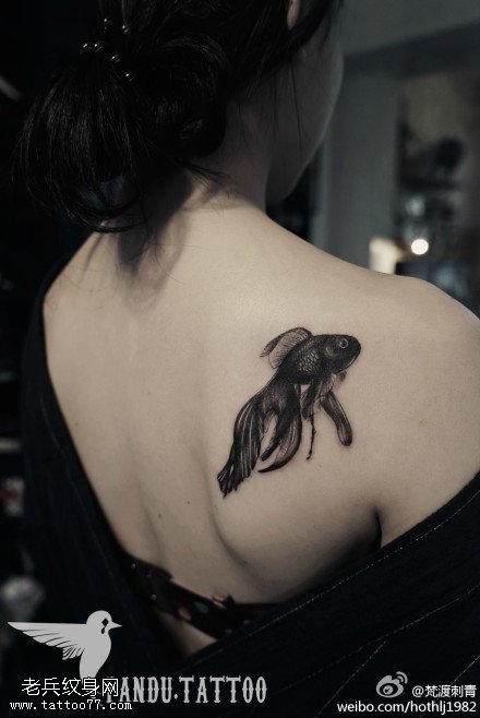 文身秀图吧推荐一幅女人背部金鱼文身作品