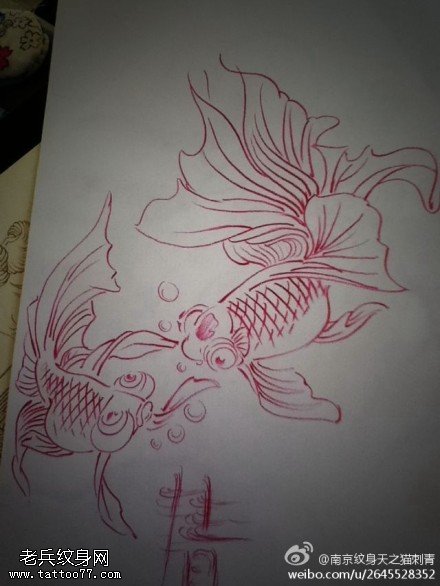 文身秀图吧推荐一幅金鱼文身线稿作品