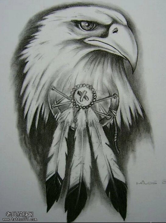 文身秀图吧推荐一幅老鹰捕梦网文身手稿作品