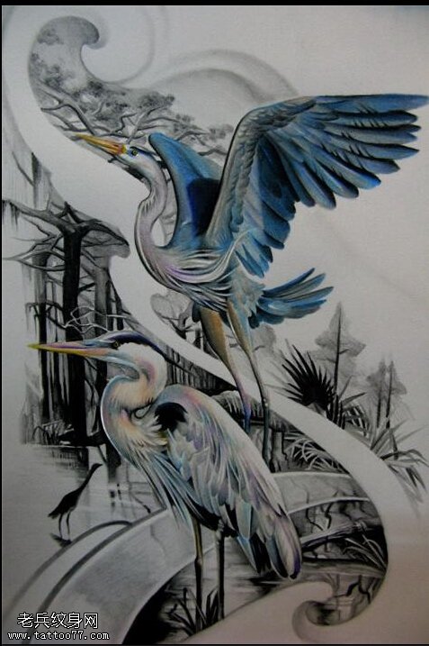 文身秀图吧推荐 一幅仙鹤文身手稿作品