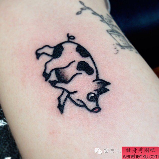 一组tattoo十二生肖の猪文身作品由文身分享