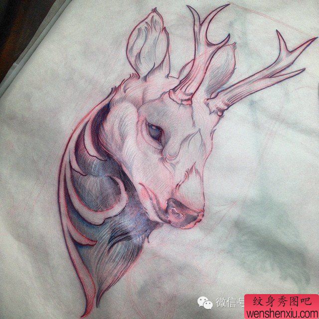 文身秀图吧推荐一组彩色鹿文身作品
