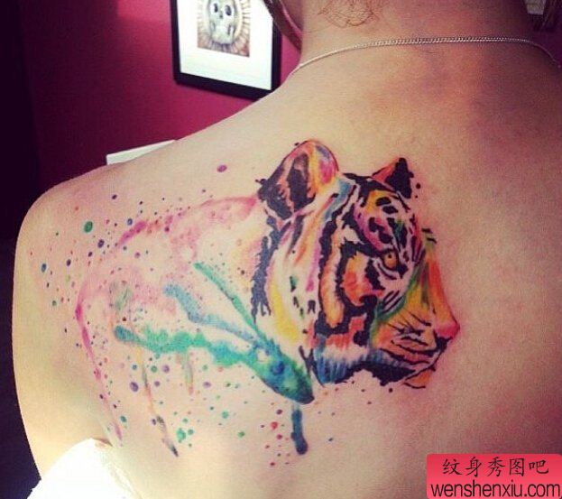 一组tattoo十二生肖の老虎文身作品由文身分享