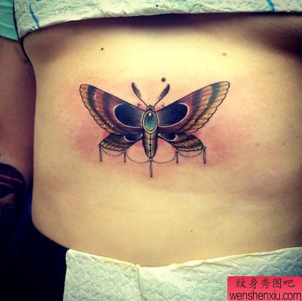 一幅腹部彩色蛾子文身作品