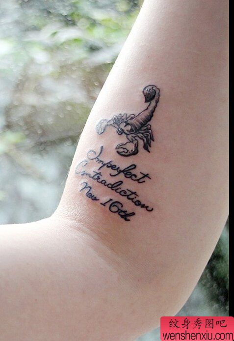 手臂蝎子文身作品