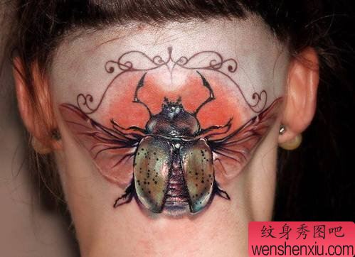 一幅头部昆虫文身作品由文身秀图吧分享