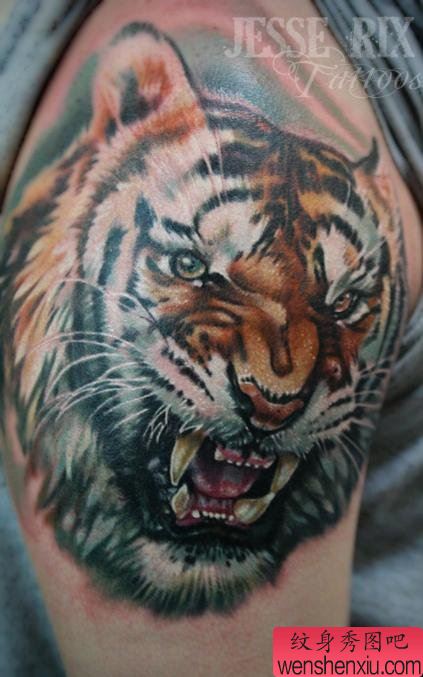 一幅手臂彩色老虎头文身作品