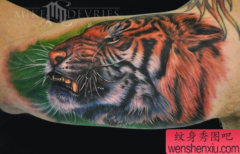 文身秀图吧推荐一幅手臂老虎文身作品