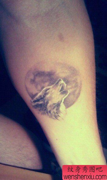 手臂狼文身作品由文身秀图吧分享