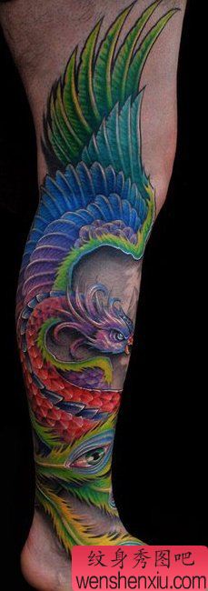 文身秀图吧推荐一幅腿部孔雀文身作品