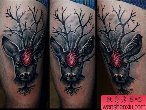 文身秀图吧推荐一幅腿部鹿头文身作品