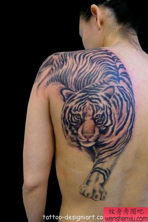 一幅背部老虎文身作品