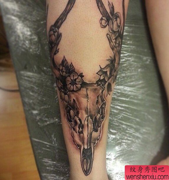 文身秀图吧推荐一幅腿部黑白羚羊文身作品