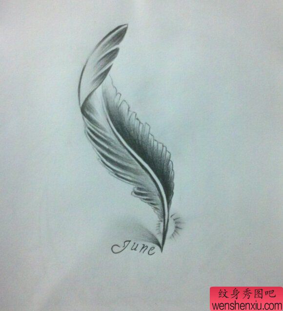 文身秀图吧推荐一幅羽毛文身手稿作品