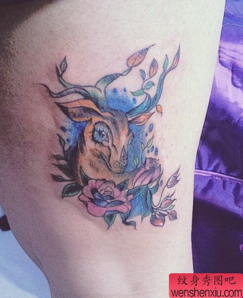 文身秀图吧推荐一幅腿部彩色羚羊玫瑰文身作品