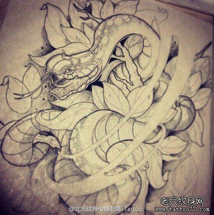 文身秀图吧推荐一幅牡丹蛇线稿文身作品
