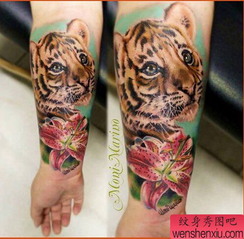 文身秀图吧推荐一幅手臂彩色老虎文身作品