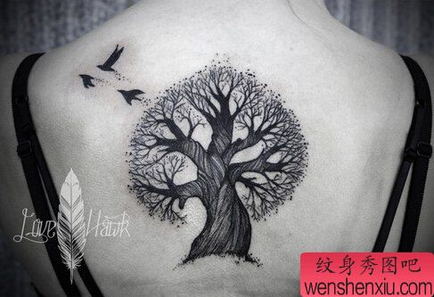 文身秀图吧推荐一幅女人背部树文身作品