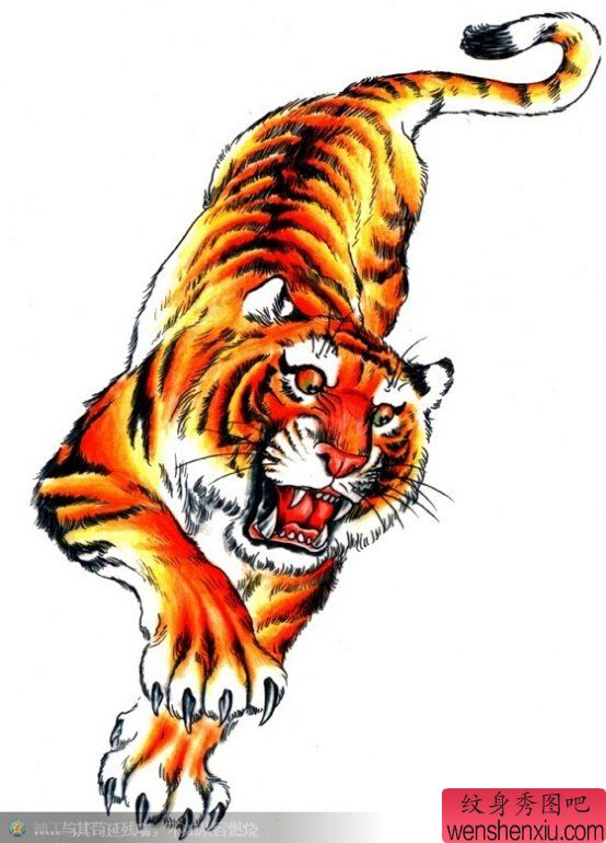 文身秀图吧推荐一幅彩色老虎文身作品