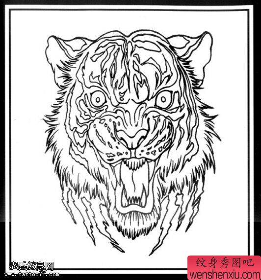 文身秀图吧推荐一幅老虎头文身手稿作品