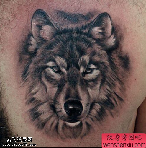 文身秀图吧推荐一幅胸口狼头文身作品