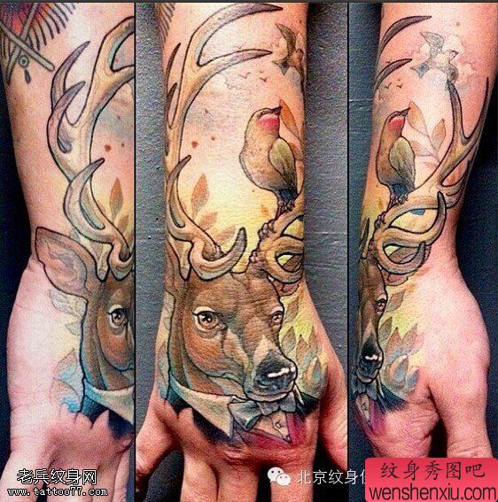 一幅手部彩色彩色羚羊文身作品由文身分享