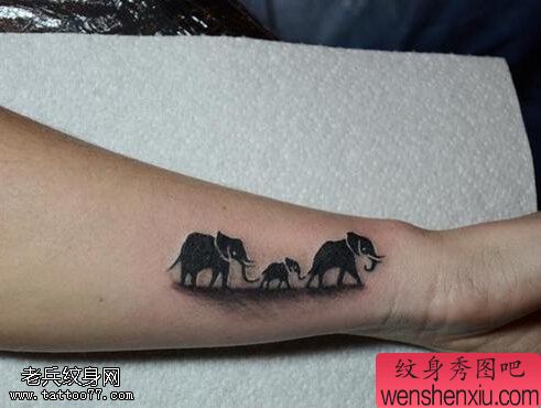 文身秀图吧推荐一幅手臂象文身作品
