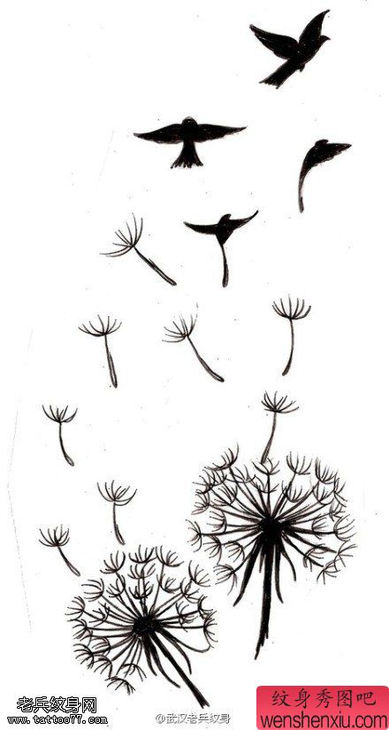 文身秀图吧推荐一幅蒲公英文身手稿作品