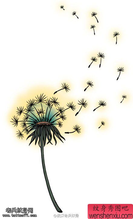 一幅手稿彩色蒲公英文身由最好的文身馆分享