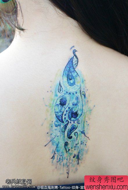 文身分享一幅背部彩色孔雀文身图片