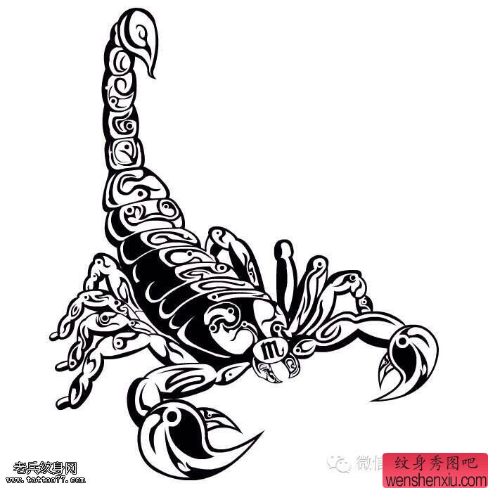 蝎子文身手稿图片由文身馆分享